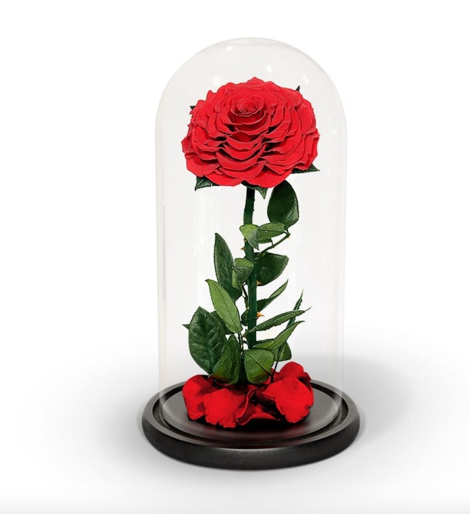 Everlasting Rose Dome - Single - Casey Florist Co
