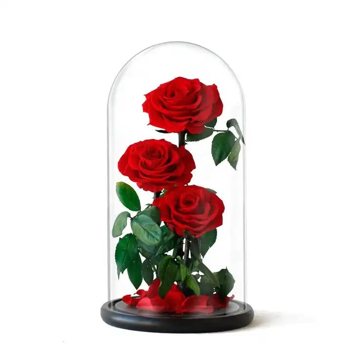 Everlasting Rose Dome - Trio - Casey Florist Co