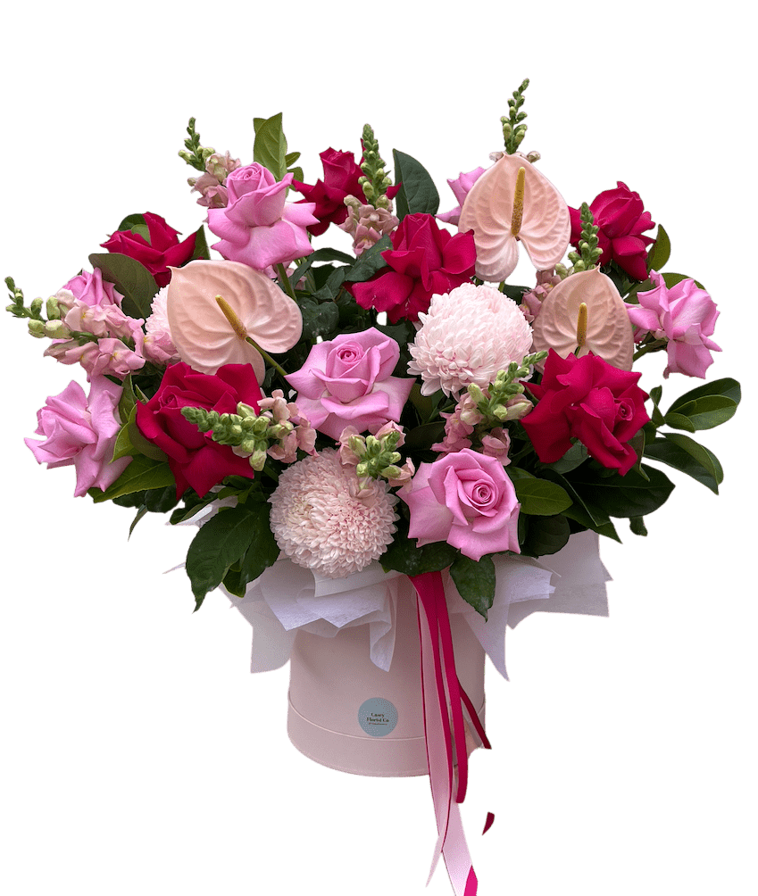 Premium Round Hatbox in Large - Casey Florist Co