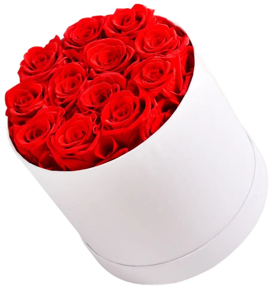 Round Everlasting Rose Box - Red - Casey Florist Co