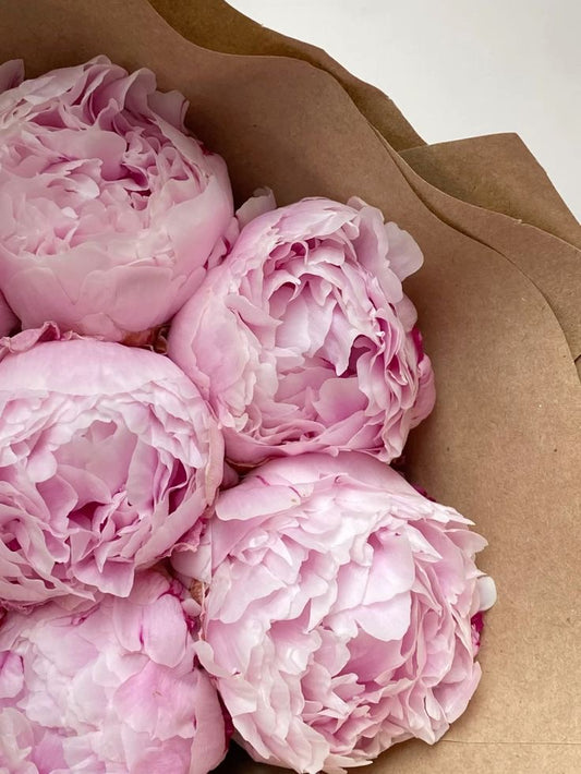 Peony Bouquet