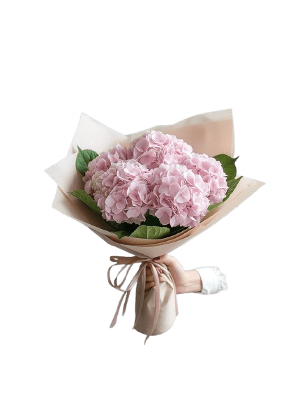 Seasonal Hydrangea Bouquet - Casey Florist Co
