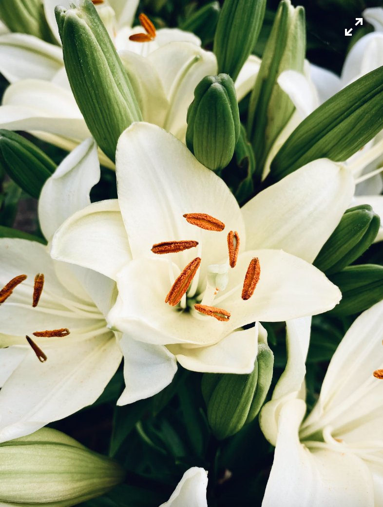 The Classic Oriental Lilly Bouquet - Casey Florist Co